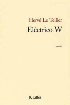 Herve Le Tellier, Electrico W
