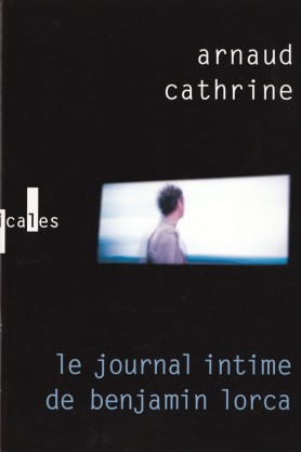 Arnaud Cathrine, Le journal de Benjamin Lorca