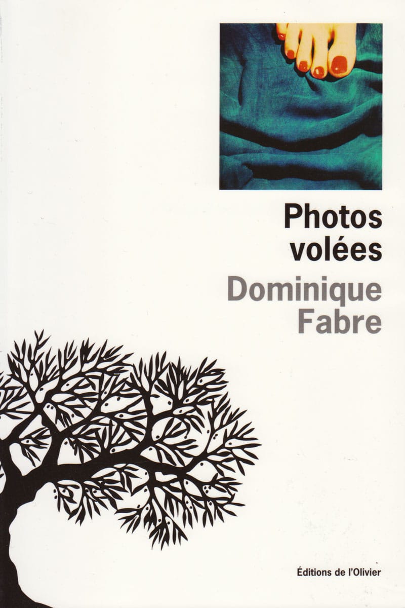 Dominique Fabre, Photos volees