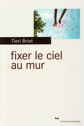 Tieri BRIET, Fixer le ciel au mur